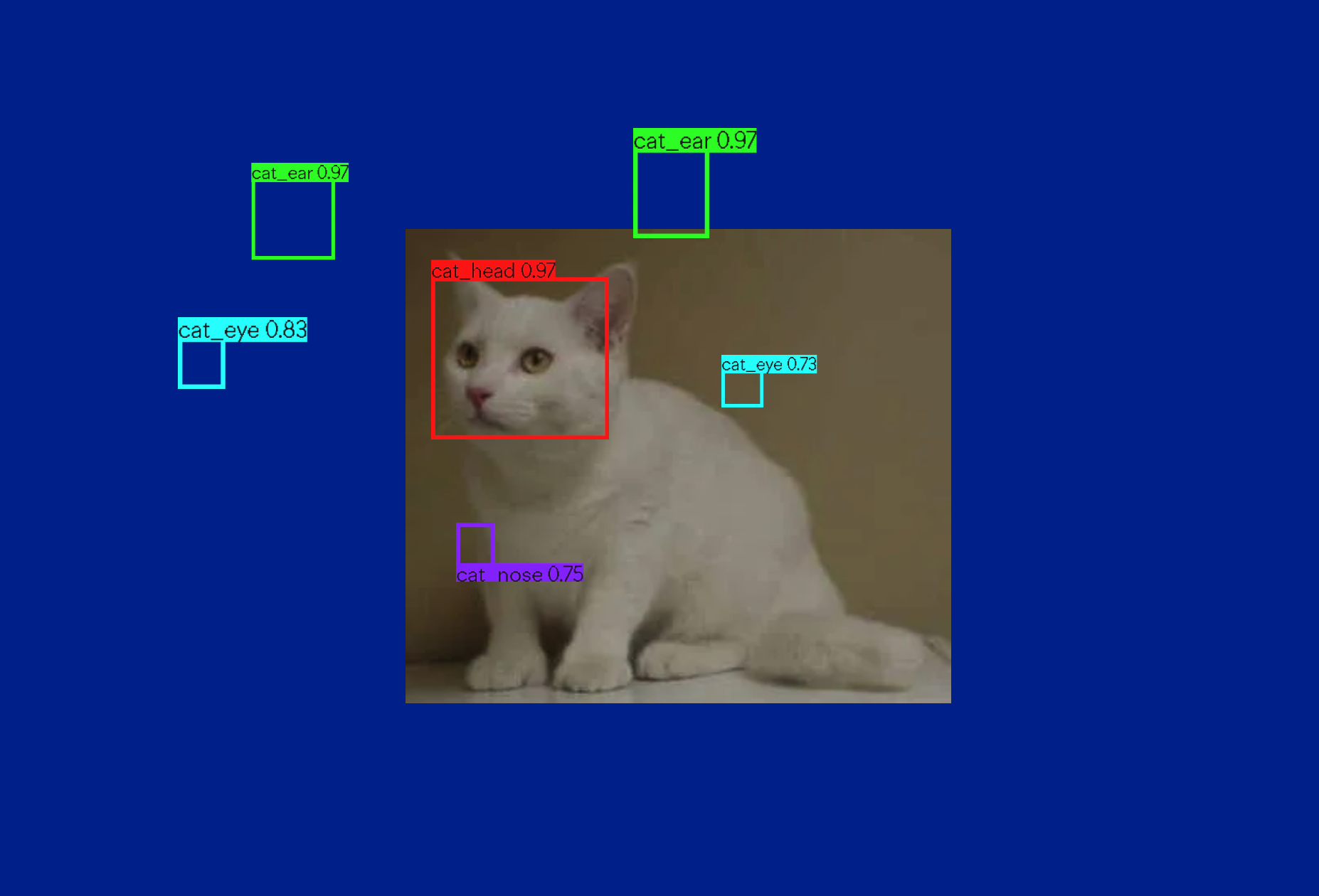 Image of a cat on a blue background with coloured labels