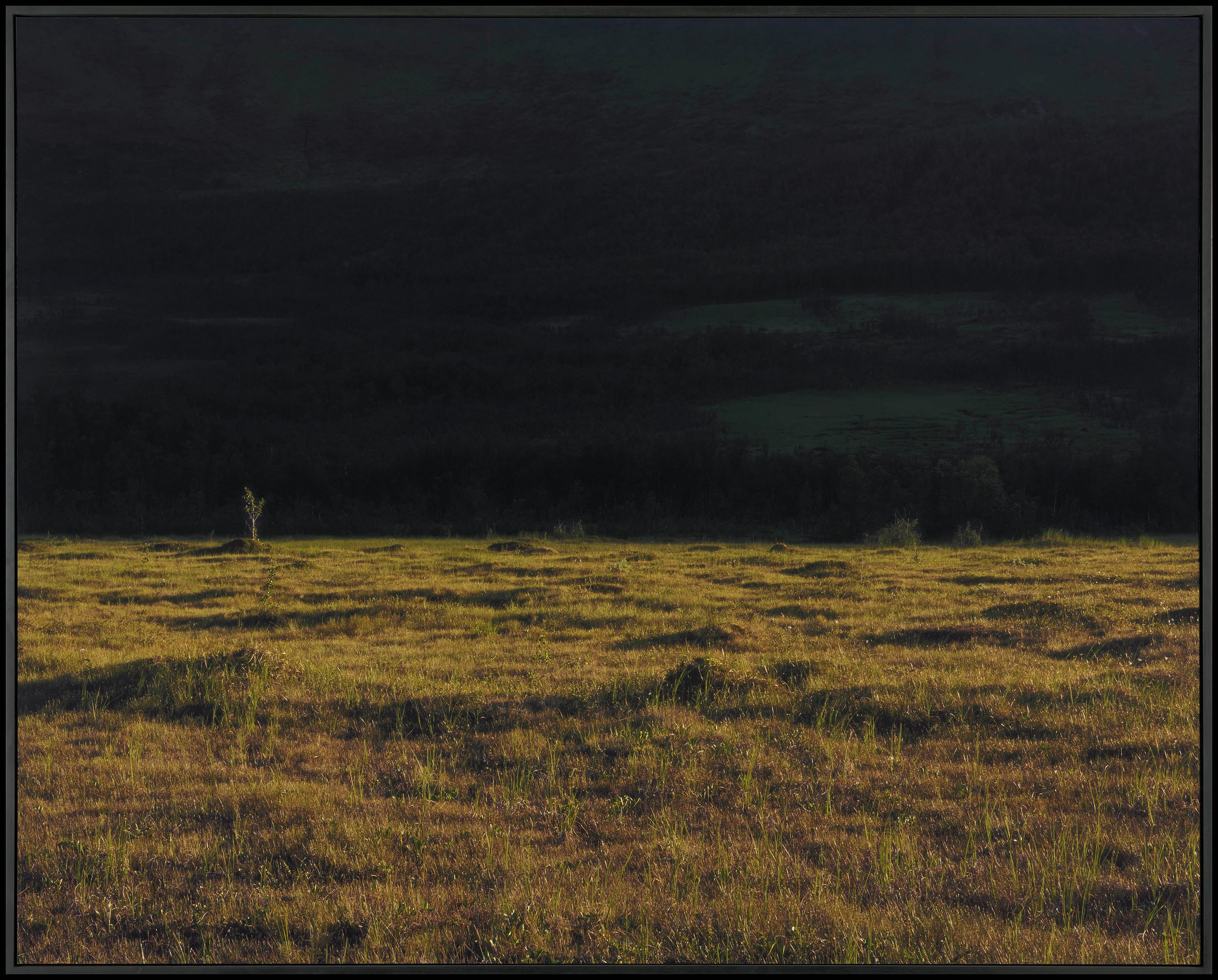 Landschap horizonaal: voor tundra met strijklicht, achter berg in schaduw.