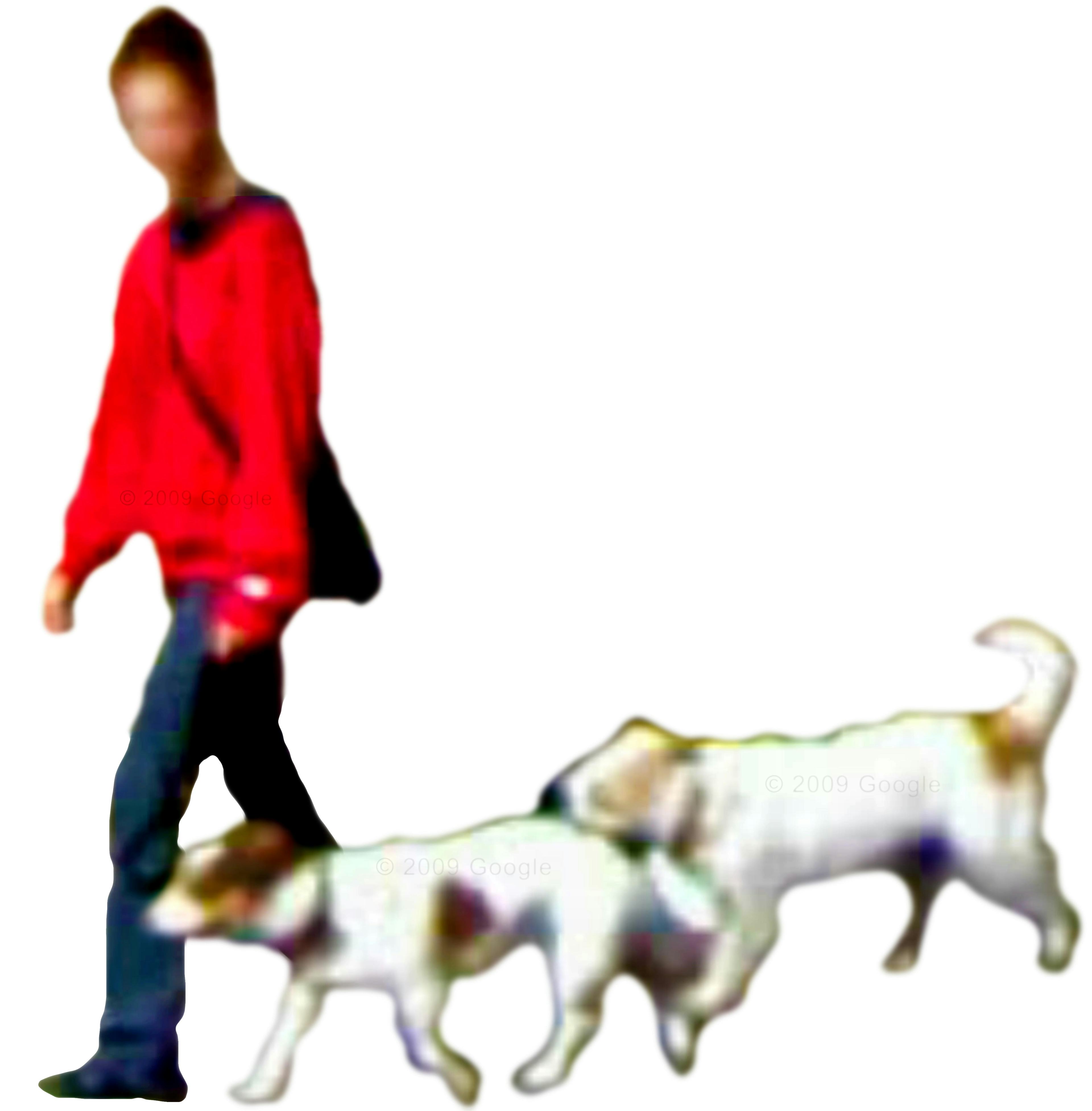 Screenshot of Google Maps of a person walking dogs