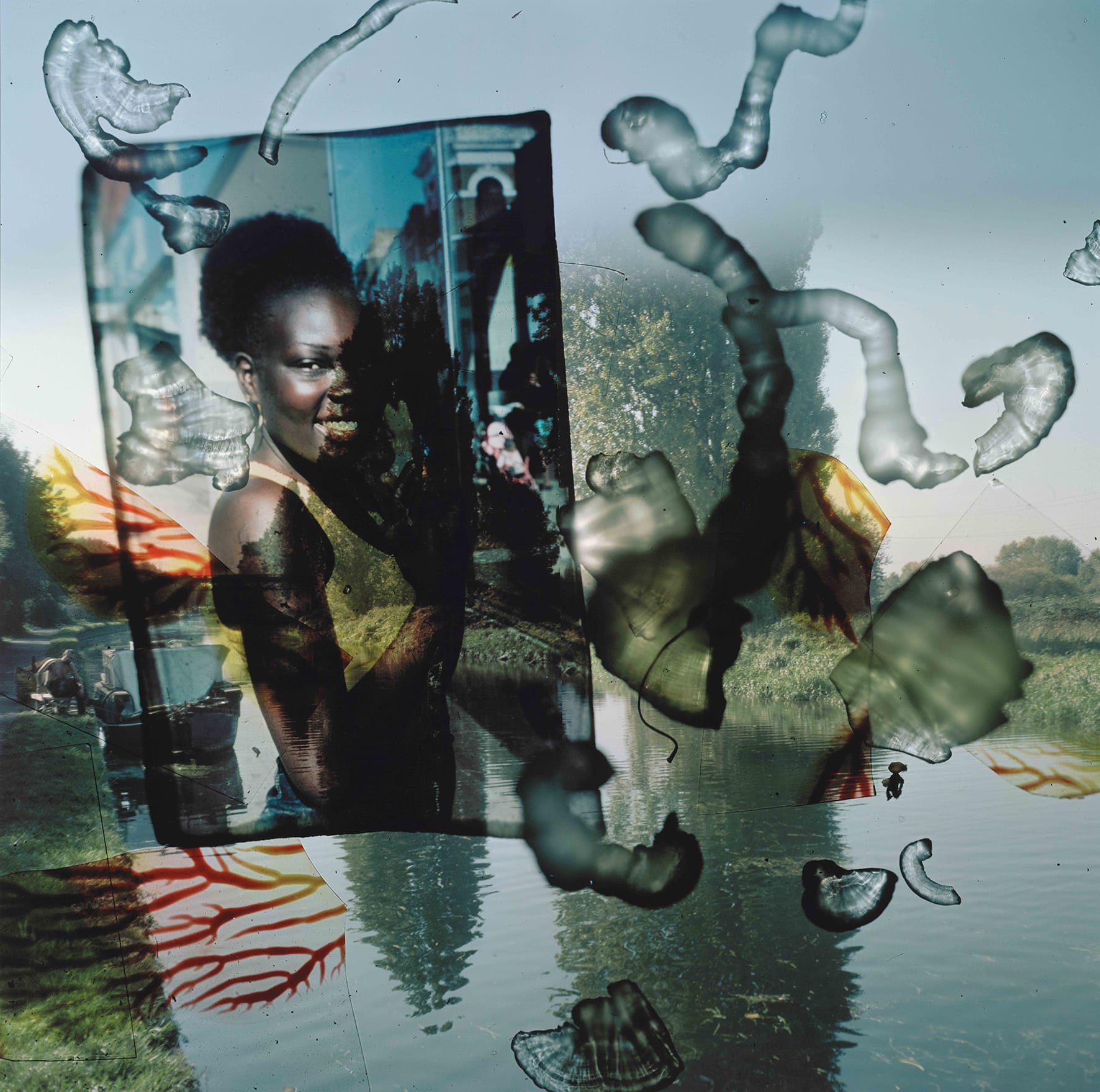 collage van verschillende negatieven, waarvan één een portret van een vrouw toont en de ander een landschap. In het beeld zijn organische vervormingen zichtbaar.